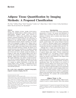 Adipose Tissue Quantification by Imaging Methods: A Proposed
