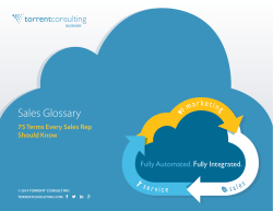 Sales Glossary - Torrent Consulting