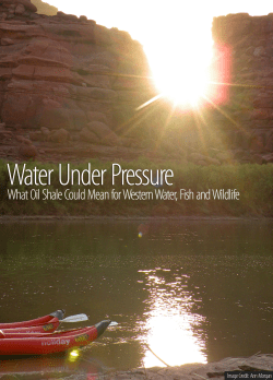 Water Under Pressure  - National Wildlife Federation