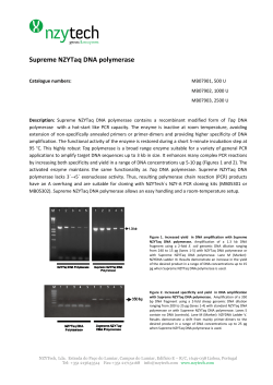 Supreme NZYTaq DNA polymerase
