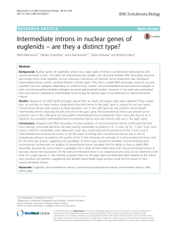 Intermediate introns in nuclear genes of euglenids