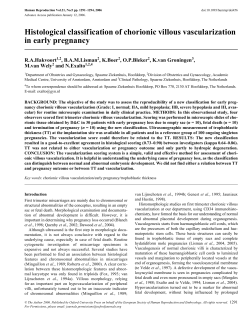 Histological classification of chorionic villous vascularization in early
