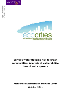 EcoCities surface water flooding urban areas