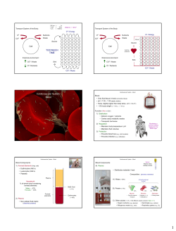 TOO MUCH TIME Cardiovascular System: Blood