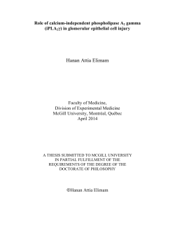 Hanan Attia Elimam - McGill University