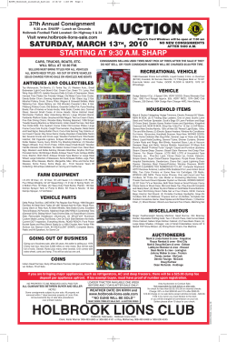 Holbrook Lions Auction
