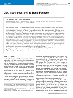 DNA Methylation and Its Basic Function