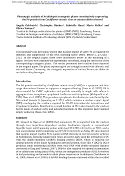Phenotypic analysis of Arabidopsis transgenic plants