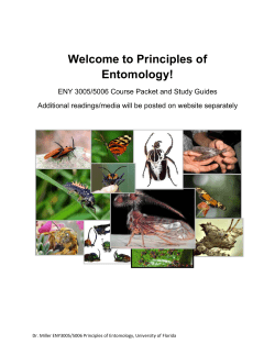 Course packet - University of Florida