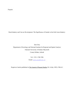 Rural Industry and Uneven Development: The Significance of