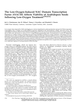 The Low-Oxygen-Induced NAC Domain