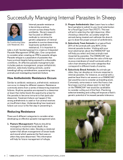 Successfully Managing Internal Parasites In Sheep
