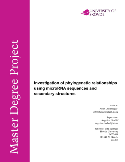 Investigation of phylogenetic relationships using microRNA