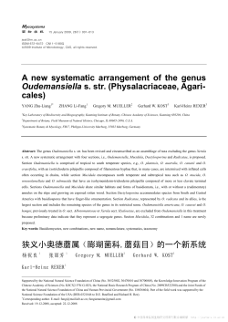 A new systematic arrangement of the genus