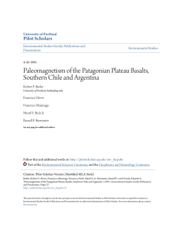 Paleomagnetism of the Patagonian Plateau Basalts