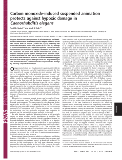 Carbon monoxide-induced suspended animation protects against