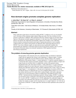 How dormant origins promote complete genome replication Europe