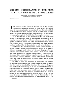 colour inheritance in the seed coat of phaseolus vulgaris
