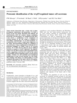 Proteomic identification of the wt-p53