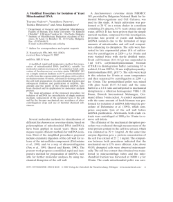 A Modified Procedure for Isolation of Yeast Mitochondrial DNA