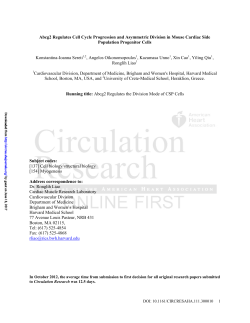 Abcg2 Regulates Cell Cycle Progression and Asymmetric Division