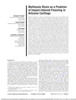 Multiscale Strain as a Predictor of Impact-Induced