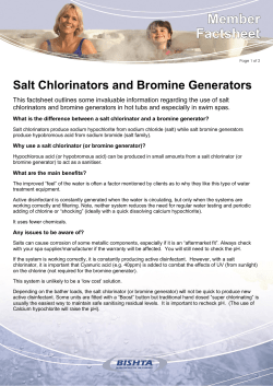 Salt Chlorinators and Bromine Generators
