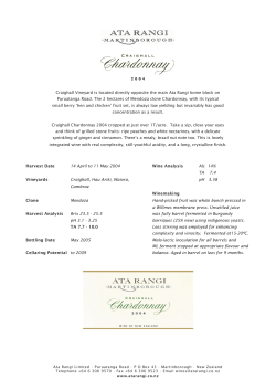 Craighall Vineyard is located directly opposite the main Ata Rangi