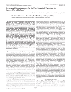 Structural Requirements for in Vivo Myosin I Function in Aspergillus