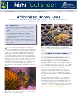 Africanized Honey Bees - Utah State University Extension