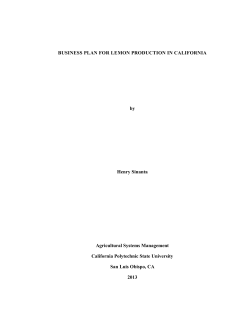 Business Plan for Lemon Production in California