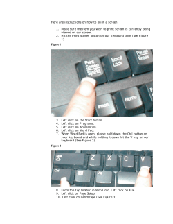instructions - print screen.DOC