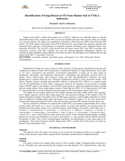 Identification of Fungi Based on ITS from Humus Soil at UNILA