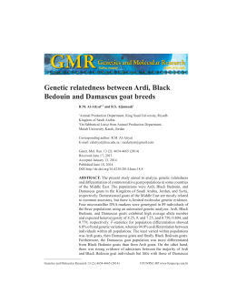 Genetic relatedness between Ardi, Black