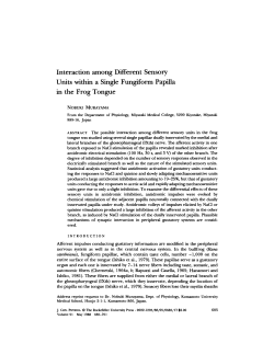Interaction among Different Sensory Units within a