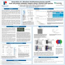 Generation of a Nicotiana benthamiana process-specific