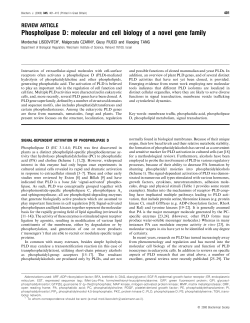 Phospholipase D: molecular and cell biology of a novel gene family
