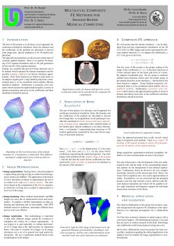 multilevel composite fe methods for imaged based medical computing