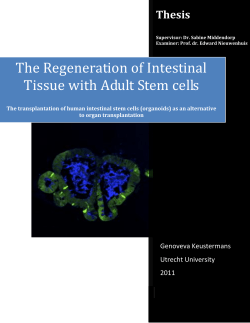 Genoveva Keustermans Thesis 2011 University Ut