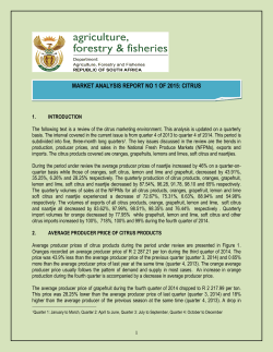 market analysis report