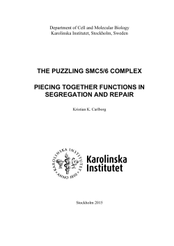 THE PUZZLING SMC5/6 COMPLEX PIECING TOGETHER