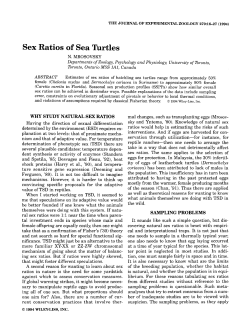 Sex ratios of sea turtles - Institute for Applied Ecology