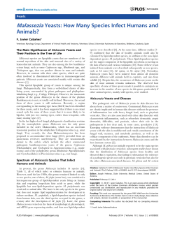 Malassezia Yeasts: How Many Species Infect Humans and Animals?