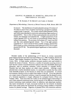 CRYPTIC PLASMIDS IN HOSPITAL ISOLATES OF PRO VID ENCIA