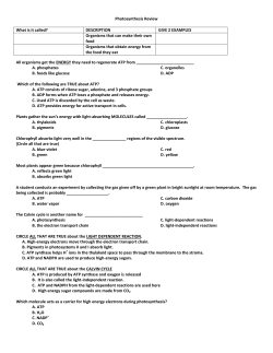 Photosynthesis Review All organisms get the ENERGY