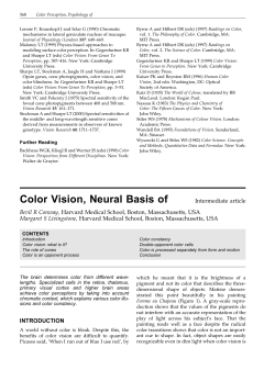 The neural basis for color vision