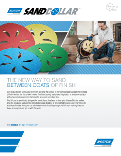 Norton SandDollar - Norton Abrasives