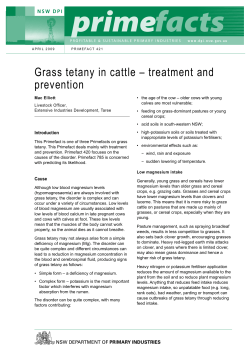 Grass tetany in cattle &ndash; treatment and prevention