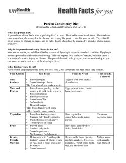 Dysphagia Pureed Diet