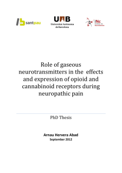 Role of gaseous neurotransmitters in the effects and expression of